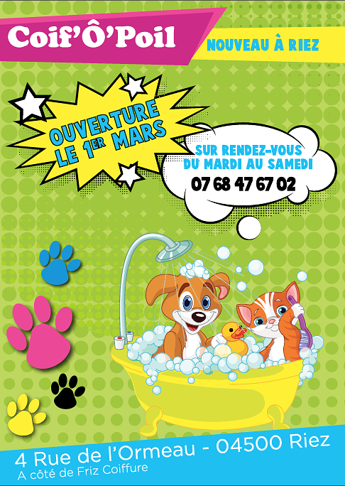 Flyer/Carte de visite