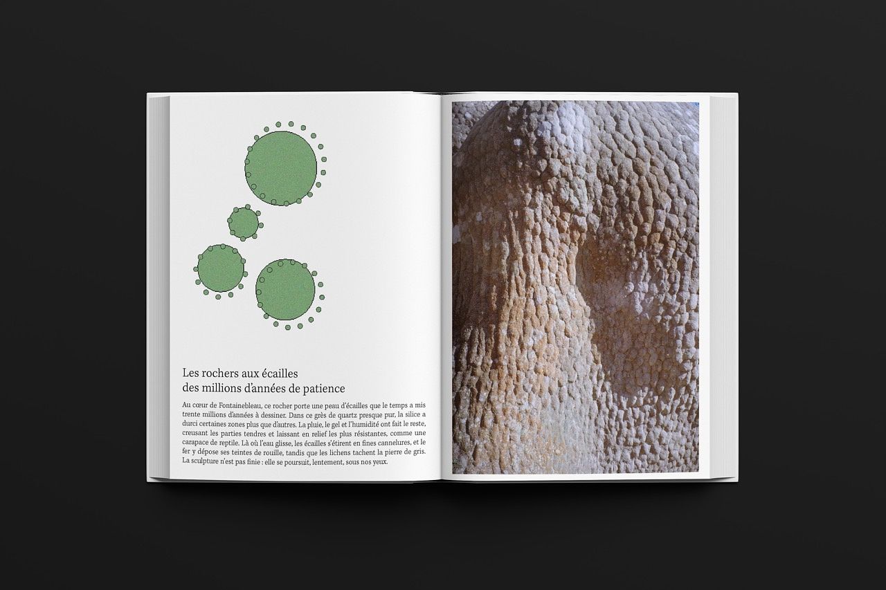 Fanzine Fontainebleau