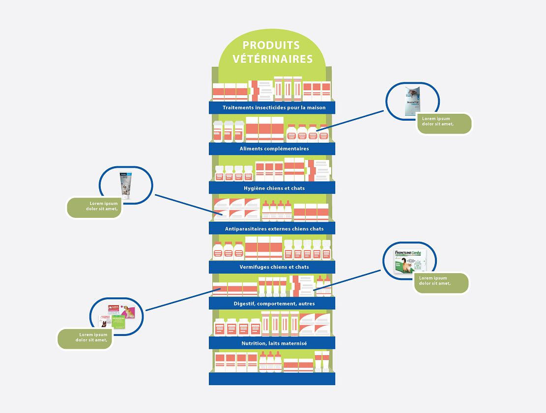 Infographie illustree