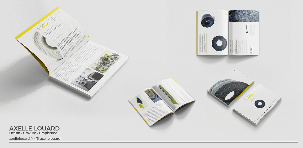 Présentations d'artiste