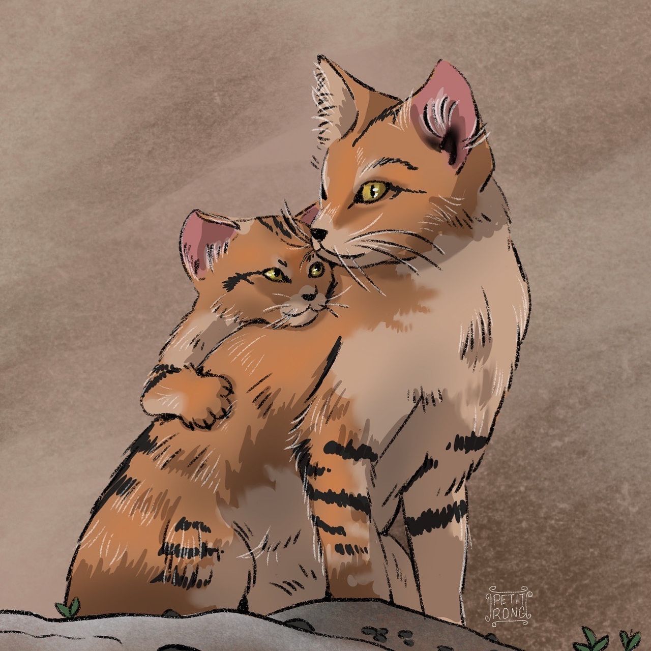 Illustration chats des sables