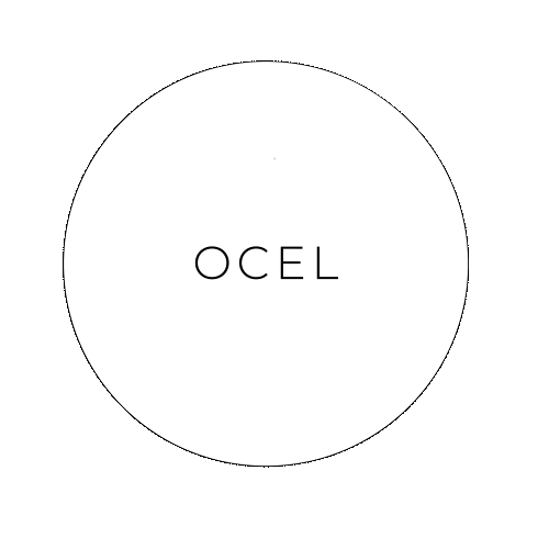 Logo animé OCEL