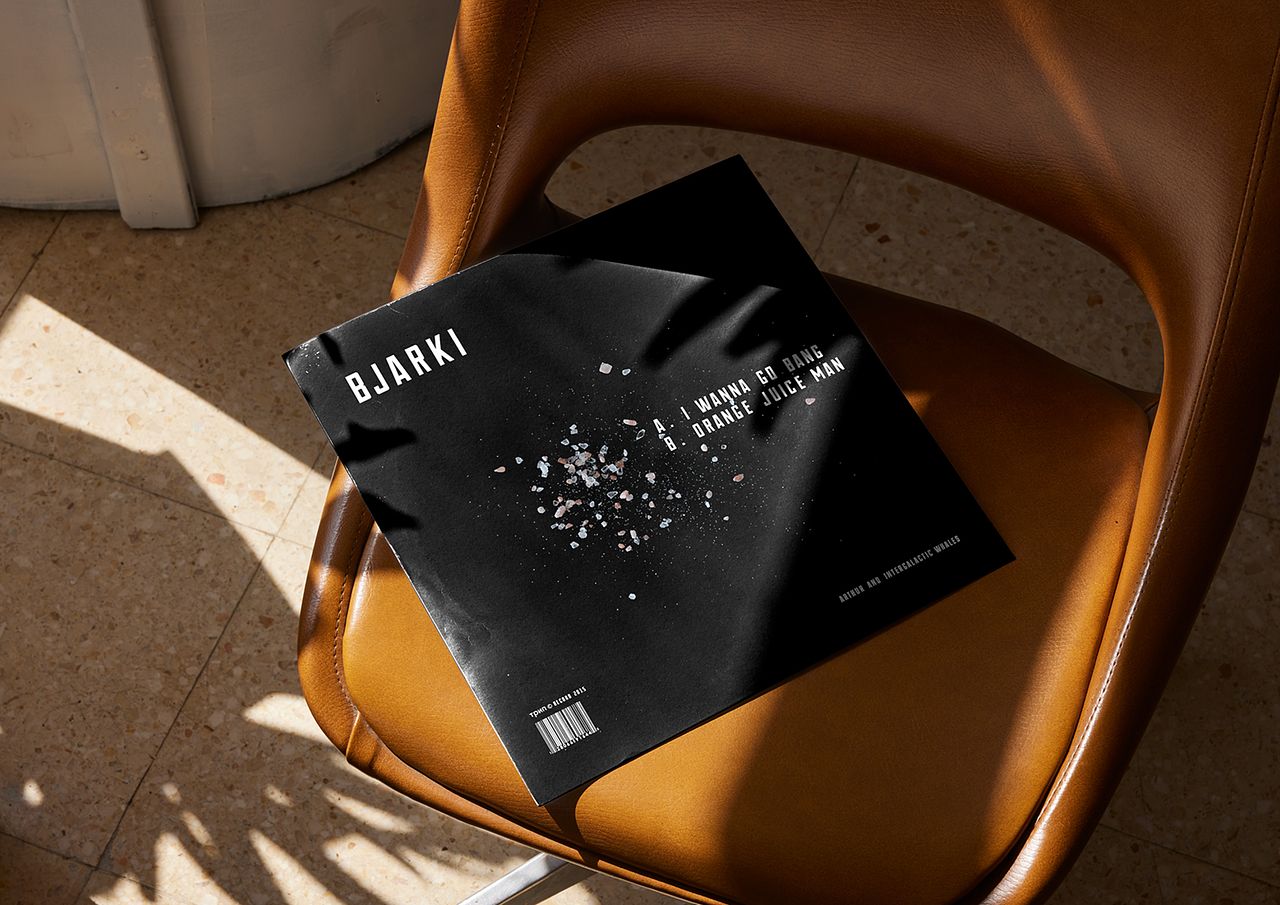 Pochette de Vinyle